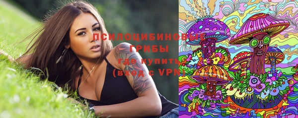 каннабис Алзамай