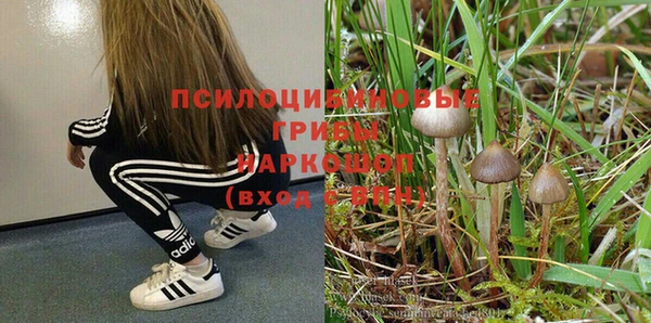 каннабис Алзамай